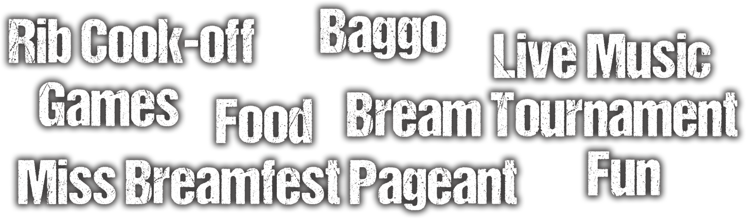 rib coo-off, live music, games, vendors, and fun for all ages
